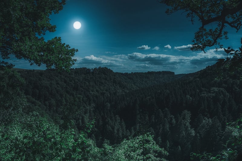 Moonlit Kiss